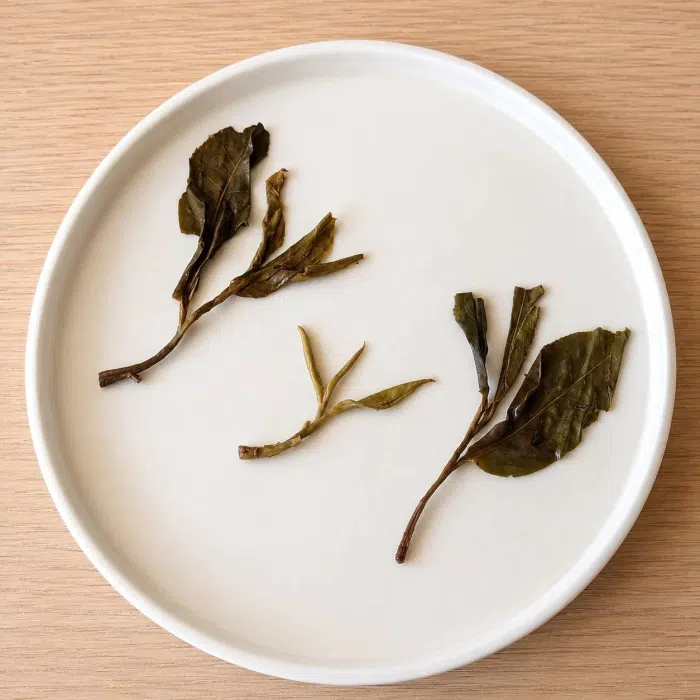 2025 "Wild Mountain Spirit Leaf" Yongde Raw Pu Erh Tea Balls — detail 5
