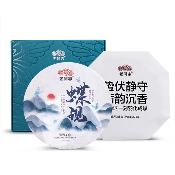 2022 Haiwan Old Comrade 5-10 Year Aged Sheng, Die Xian Thin Cake 75g — detail 4