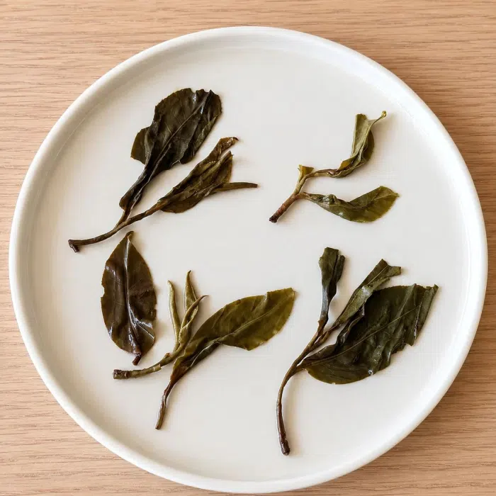 2025 "Wild Mountain Spirit Leaf" Yongde Raw Pu Erh Tea Balls — detail 6
