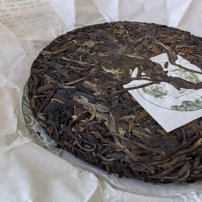 2022 Phoenix Raw Pu Erh Tea Collection: Ban Zhang, Xi Gui, Bing Dao — detail 5