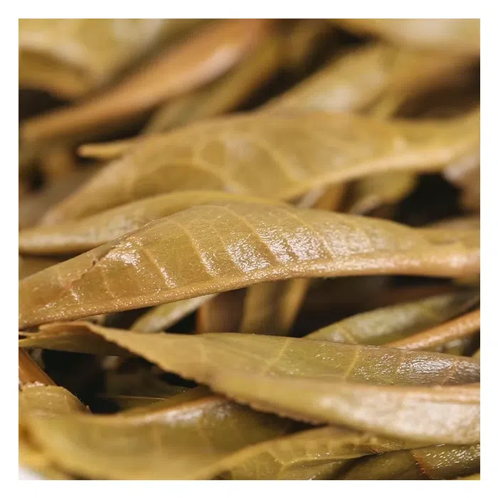 2023 Raw Gu Shu Pu Erh Tea Cakes 4x357g — detail 3