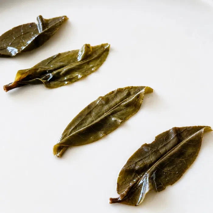2025 "Wild Mountain Spirit Leaf" Yongde Raw Pu Erh Tea Balls — detail 7