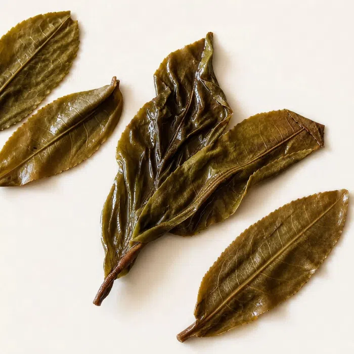 2019 Ancient Trees Lao Ban Zhang Raw Pu Erh Tea Balls — detail 4