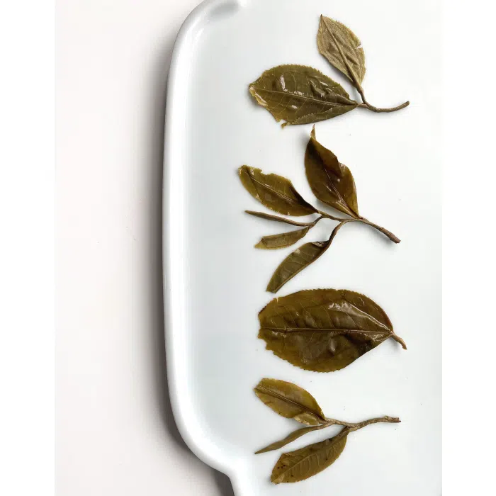 2022 Ba Nuo Ancient Tree Raw Pu Erh Tea Cake 200g — detail 3