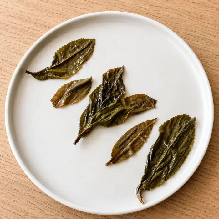 2019 Ancient Trees Lao Ban Zhang Raw Pu Erh Tea Balls — detail 5