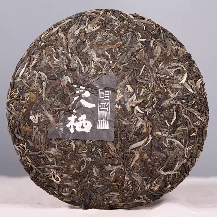 2020 Haiwan Liang 'Spiritual Habitat' Gushu Pu Erh 400g — detail 1