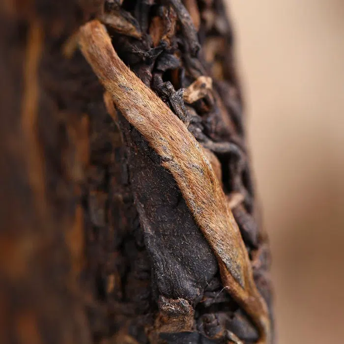 2019 Haiwan Liang ‘Longevity’ Gushu Ripe Pu Erh 400g — detail 1