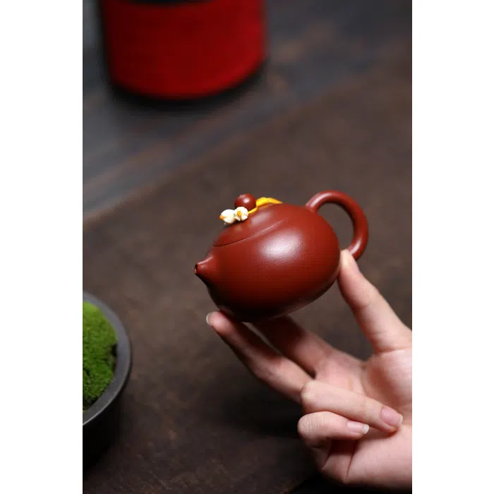 Small Xishi Yixing Teapot, Red Zhu Ni Clay Teapot 100ml — detail 2